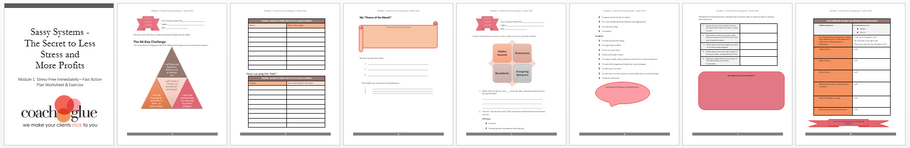 Module 1 Stress Free Immediately Action Plan Screenshot