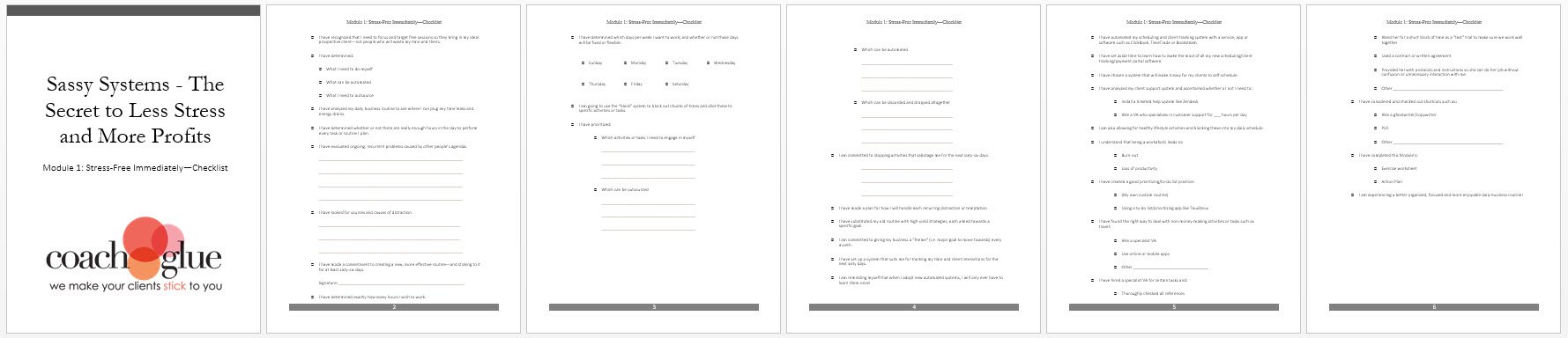 Module 1 Stress Free Immediately Checklist Screenshot