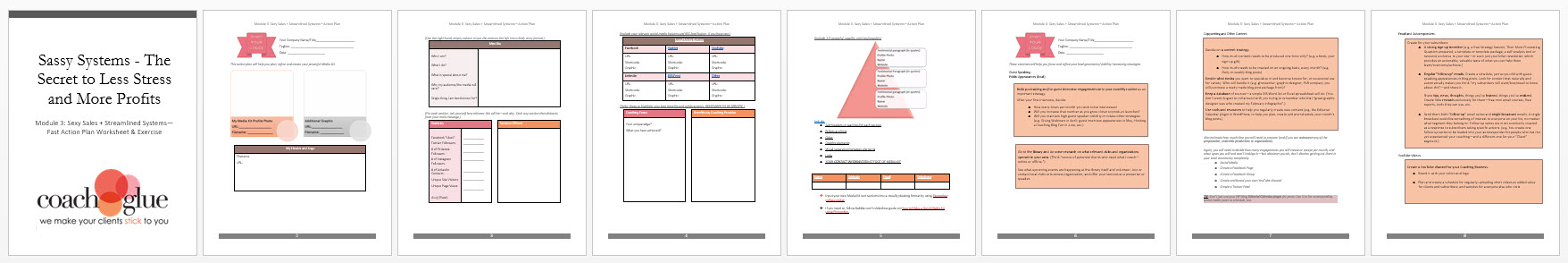 Module 3 Sexy Sales + Streamline Systems Action Plan Screenshot