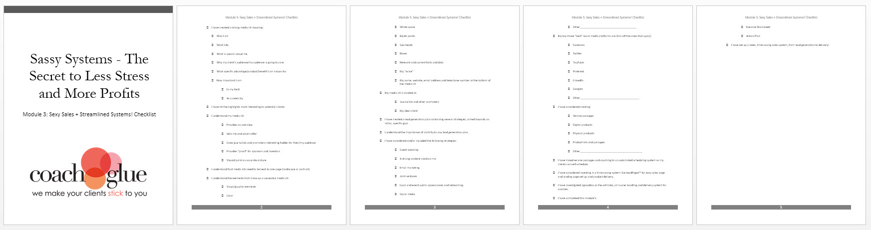 Module 3 Sexy Sales + Streamline Systems Checklist Screenshot