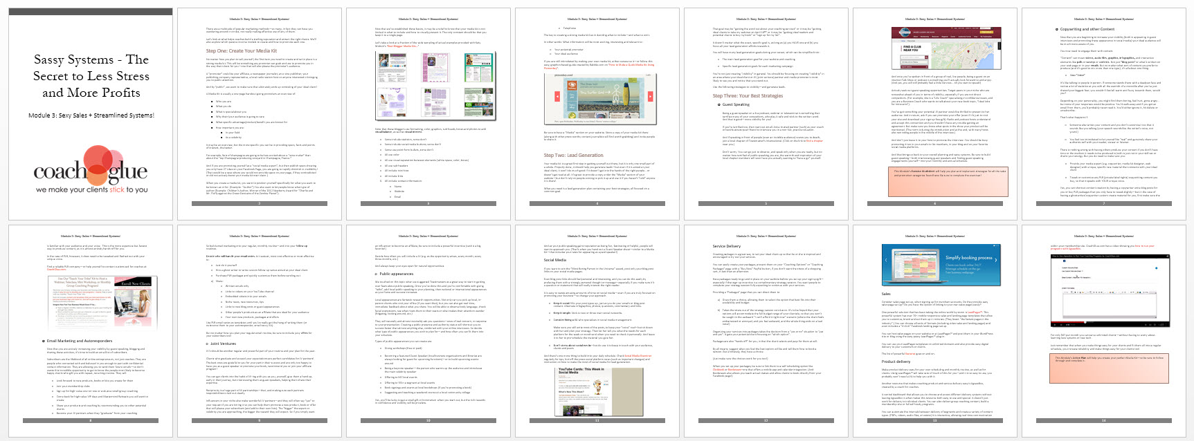 Module 3 Sexy Sales + Streamline Systems Screenshot