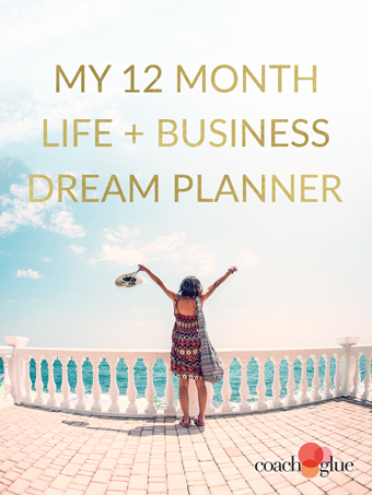 My 12-Month Life And Business Dream Planner