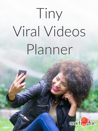 Tiny Viral Videos Planner