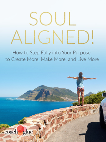 Soul Aligned! How To Step Fully Into Your Purpose To Create More, Make More, And Live More!